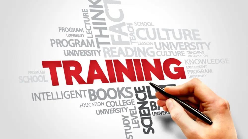 ITEL team learning in a corporate training session
