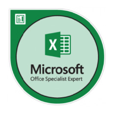 Microsoft Office Specialist (MOS) Excel 2019 Expert | ITEL